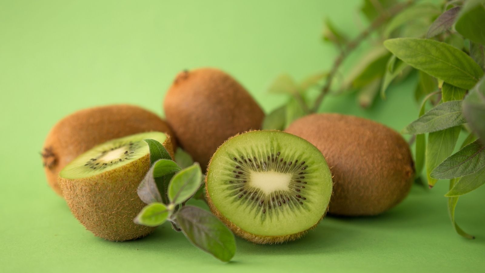 Kiwi fruit